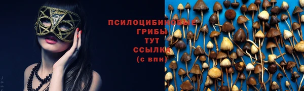 винт Богородск