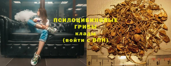 кокаин перу Богданович
